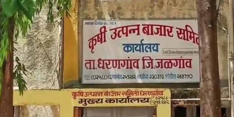 धरणगाव बाजार समितीच्या सभापतीपदी लताबाई पाटील तर उपसभापतीपदी संजय जुलाल