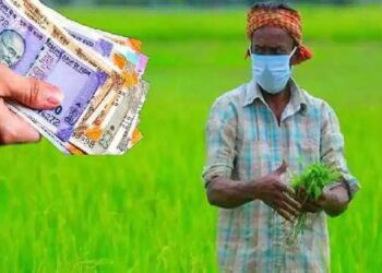 पीएम किसान निधीबाबत महत्वाची बातमी, जाणून घ्या कोणाला मिळणार नाही पैसे