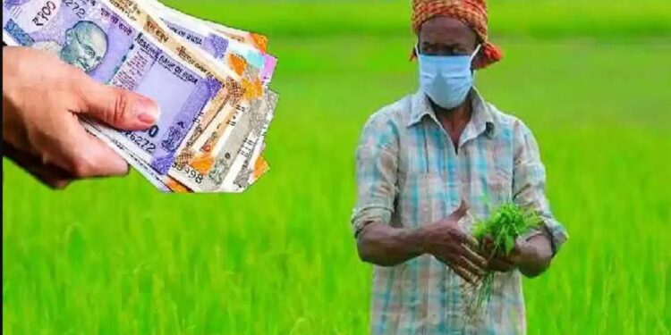 पीएम किसान निधीबाबत महत्वाची बातमी, जाणून घ्या कोणाला मिळणार नाही पैसे