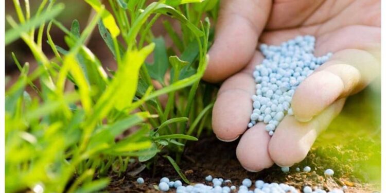 .. अन्यथा बियाणे, खते खरेदी करू नये ; जिल्हा कृषी अधीक्षकांची महत्वाची माहिती