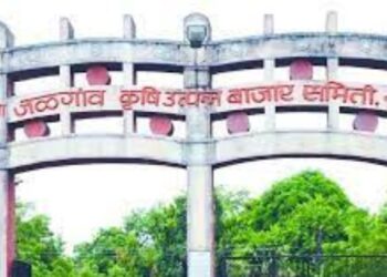 मोठी बातमी! जळगाव कृषी बाजार समितीच्या सभापतीपदी शामकांत सोनवणे यांची निवड