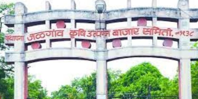 मोठी बातमी! जळगाव कृषी बाजार समितीच्या सभापतीपदी शामकांत सोनवणे यांची निवड