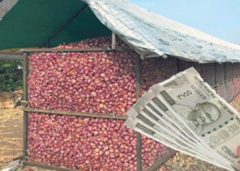 कांदा उत्पादक शेतकऱ्यांसाठी खुशखबर..! कांदाचाळीसाठी मिळणार ‘इतके’ अनुदान