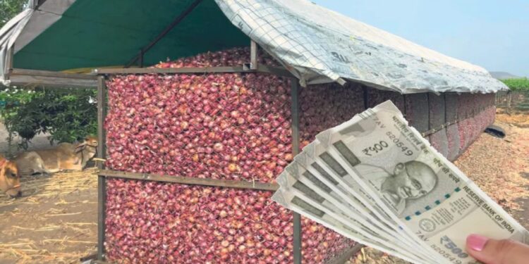 कांदा उत्पादक शेतकऱ्यांसाठी खुशखबर..! कांदाचाळीसाठी मिळणार ‘इतके’ अनुदान