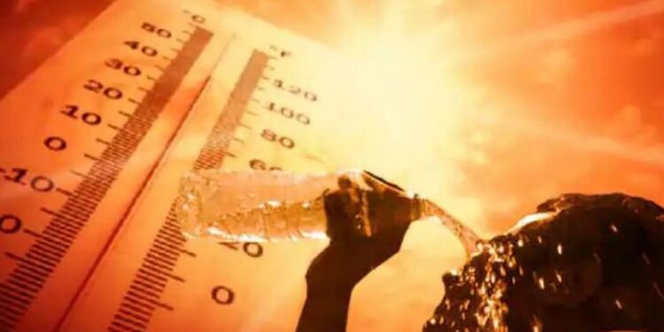 पुढील 5 वर्षात मानवाला पृथ्वीवर राहणं कठीण होणार? तापमानाबाबत जागतिक हवामान संघटनेचा धक्कादायक अहवाल..