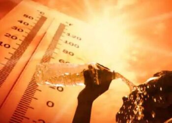 पुढील 5 वर्षात मानवाला पृथ्वीवर राहणं कठीण होणार? तापमानाबाबत जागतिक हवामान संघटनेचा धक्कादायक अहवाल..