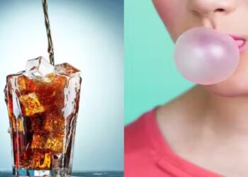 सावधान! तुम्हालाही कोल्ड ड्रिंक किंवा च्युइंगम खाण्याची सवय आहे? वाचा WHO चा धक्कादायक खुलासा