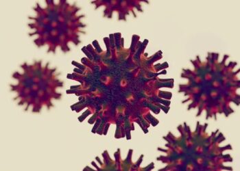 काळजी घ्या! कोरोना, मंकीपेक्षाही महाभयंकर व्हायरसची एन्ट्री, मृत्यूचा सर्वाधिक धोका