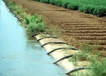 वाघुर धरण कार्यक्षेत्रातील पाणीवापरासाठी या तारखेपर्यंत करा अर्ज