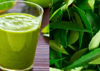 रिकाम्या पोटी कढीपत्त्याचा रस प्या ; मिळतील हे आश्चर्यकारक फायदे