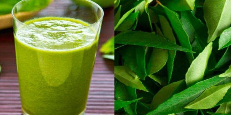 रिकाम्या पोटी कढीपत्त्याचा रस प्या ; मिळतील हे आश्चर्यकारक फायदे