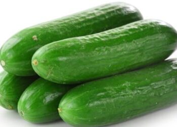 उन्हाळ्यात काकडी खाण्याचे आहेत आश्चर्यकारक फायदे ; एकदा वाचाच..