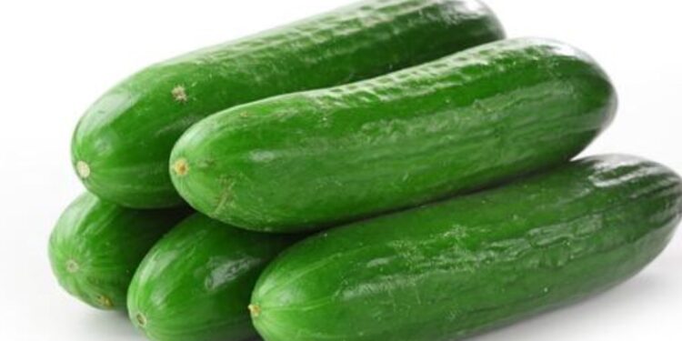 उन्हाळ्यात काकडी खाण्याचे आहेत आश्चर्यकारक फायदे ; एकदा वाचाच..