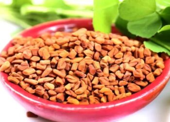 मेथी दाणे आरोग्यासाठी खूपच फायदेशीर ; हे आश्चर्यकारक फायदे एकदा वाचाच