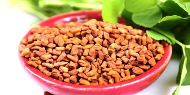 मेथी दाणे आरोग्यासाठी खूपच फायदेशीर ; हे आश्चर्यकारक फायदे एकदा वाचाच