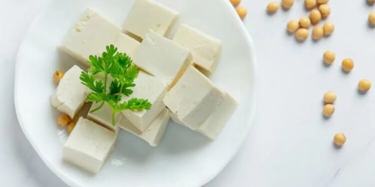 दुधापेक्षा या पदार्थांमध्ये आढळते जास्त कॅल्शियम ; आरोग्यासाठी खूप फायदेशीर