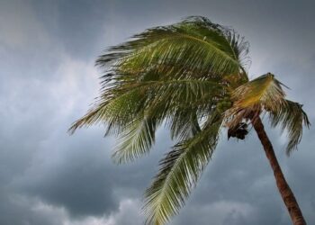 बिपरजॉय चक्रीवादळाचा राज्यातील या जिल्ह्याना बसणार फटका : हवामान खात्याकडून सतर्कतेचा इशारा