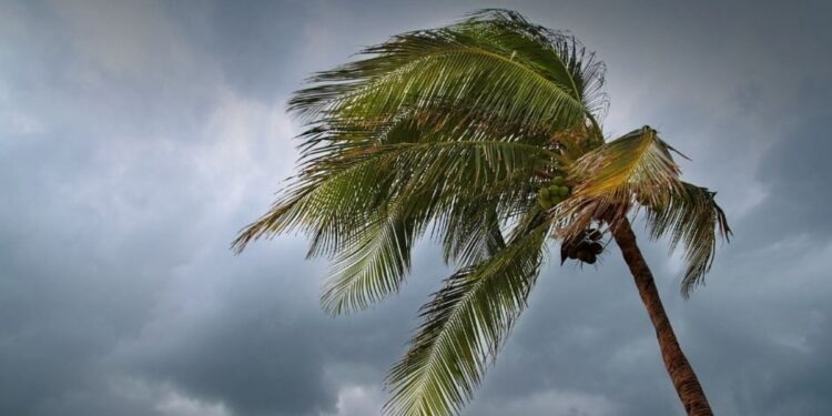 बिपरजॉय चक्रीवादळाचा राज्यातील या जिल्ह्याना बसणार फटका : हवामान खात्याकडून सतर्कतेचा इशारा