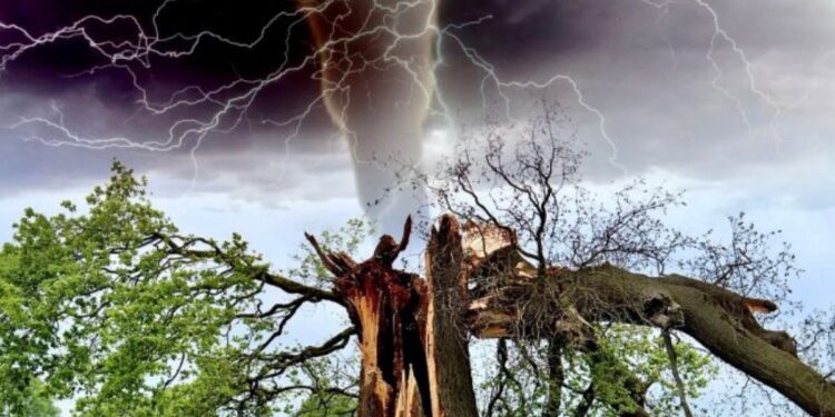 वीजेपासून बचाव करण्यासाठी ‘दामिनी’ ॲप ; नेमकं काय आहे हे ॲप? शेतकऱ्यांनी जाणून घेणे महत्वाचं