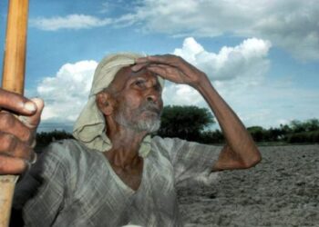 मान्सून लांबल्याने शेतकऱ्याच्या डोक्यावर चिंतेचे काळे ढग ; कधी बरसेल पाऊस, IMD ने सांगितली तारीख