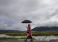 खुशखबर! येत्या २४ तासात मान्सून केरळात धडकणार? महाराष्टात कधी दाखल होणार?