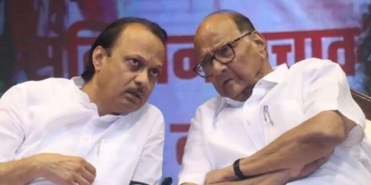 शरद पवार, अजित पवार या तारखेला अमळनेर येथे येणार ; हे आहे त्यामागील कारण