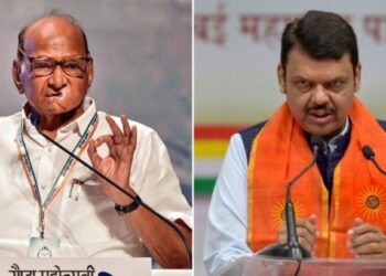 देवेंद्र फडणवीसांच्या शपथविधीबाबतच्या खळबळजनक दाव्यानंतर शरद पवारांनी प्रतिक्रिया, म्हणाले..