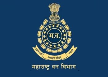 महाराष्ट्रातील वनविभागात भरपूर नोकऱ्या! तब्बल 2417 पदांवर भरती सुरु, 10वी ते पदवीधरांना चान्स