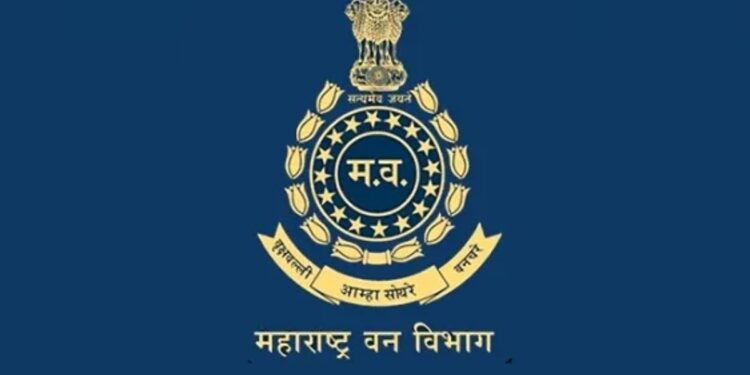 महाराष्ट्रातील वनविभागात भरपूर नोकऱ्या! तब्बल 2417 पदांवर भरती सुरु, 10वी ते पदवीधरांना चान्स