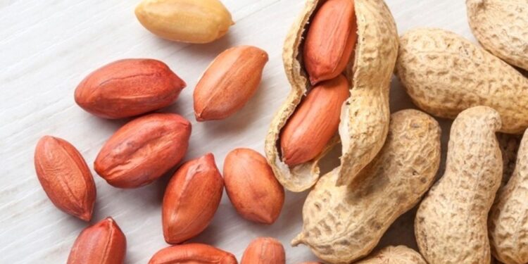 शेंगदाणे आरोग्यासाठी खजिन्यापेक्षा कमी नाही.. फायदे जाणून तुम्ही रोज खाल