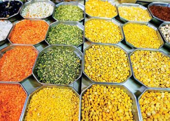 भाजीपाल्यापाठोपाठ आता डाळींच्या भावानं रडवलं, महागाईनं असं बिघडलं घराचं बजेट