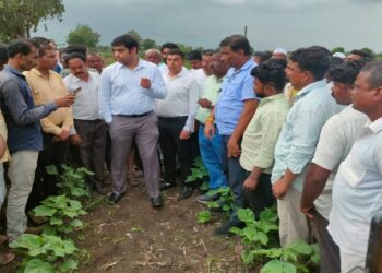 नुकसानग्रस्त शेतकऱ्यांचे तात्काळ पंचनामे करा –  मंत्री गिरीश महाजन