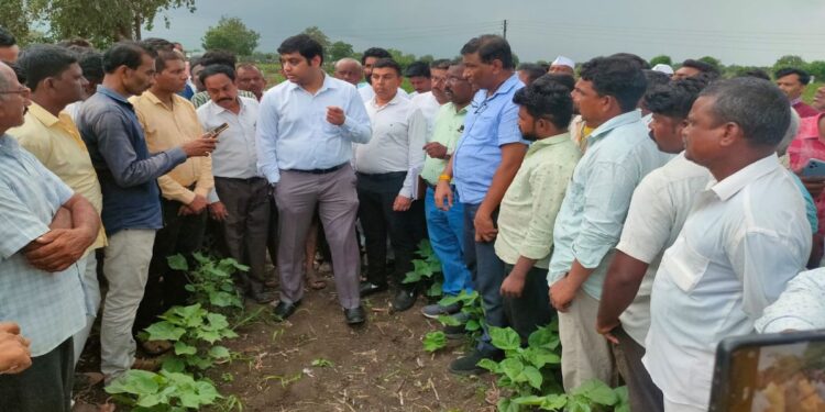 नुकसानग्रस्त शेतकऱ्यांचे तात्काळ पंचनामे करा –  मंत्री गिरीश महाजन