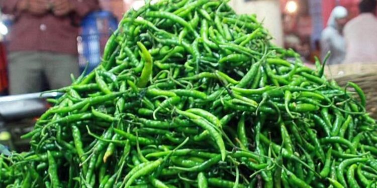 हिरवी मिरची उच्च बीपीपासून कर्करोगापासून बचाव करते, पण.. वाचा फायदे आणि तोटे