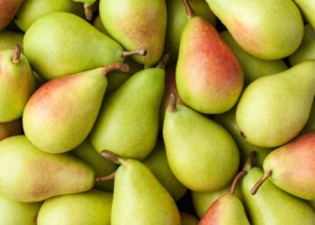 Health News : नाशपाती खाण्याचे हे फायदे वाचून व्हाल चकित ; त्वरित जाणून घ्या ..