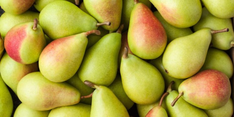 Health News : नाशपाती खाण्याचे हे फायदे वाचून व्हाल चकित ; त्वरित जाणून घ्या ..