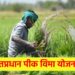 आता केवळ एक रुपयांमध्ये पीक विमा मिळणार ; शेतकऱ्यांनी लाभ घ्यावा..
