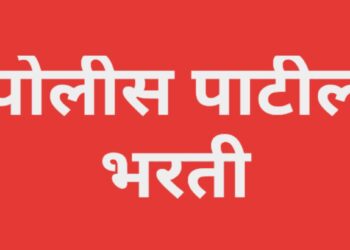 जिल्ह्यात पोलीस पाटील भरती ; ३१ जुलै ऑनलाईन अर्ज सादर करण्याची अंतिम मुदत