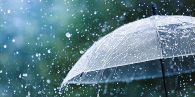 राज्यात कोसळधार! आज कुठे दिला रेड अलर्ट अन् यलो अलर्ट, तुमच्या जिल्ह्यातील स्थिती पहा..