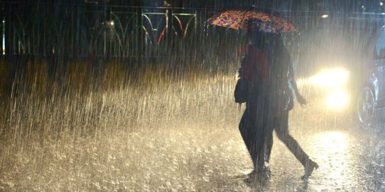 महाराष्ट्रात पुढील काही तासात मुसळधार पाऊस, जळगावसह या जिल्ह्यांना IMD कडून अलर्ट जारी