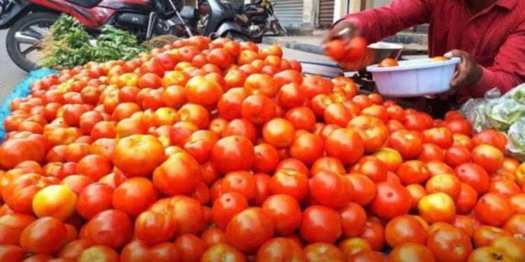 टोमॅटोबाबत आली आनंदाची बातमी लवकरच होणार भाव स्वस्त सरकारने बनवला हा मास्टरप्लॅन Janbandhu 1668