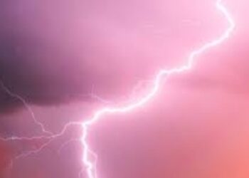 भयंकर! भाताची लावणी सुरू असताना कोसळली वीज अन्, 20 महिला…