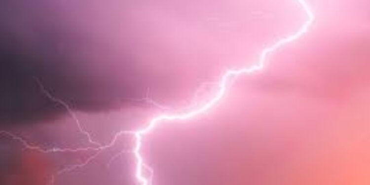 भयंकर! भाताची लावणी सुरू असताना कोसळली वीज अन्, 20 महिला…