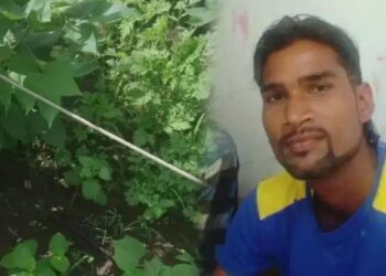 बहिणीचा पाय तुटलेल्या विजेच्या तारेवर पडला, भाऊ वाचवायला गेला अन्.. जामनेरमधील घटना