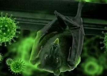 काळजी घ्या! अमळनेरमध्ये पहिल्यांदाच ‘लेप्टोस्पायरोसिस’चा रुग्ण आढळला