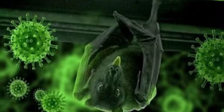 काळजी घ्या! अमळनेरमध्ये पहिल्यांदाच ‘लेप्टोस्पायरोसिस’चा रुग्ण आढळला