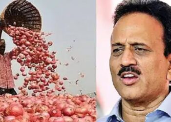 कांद्याला 4 हजारांपेक्षा जास्त भाव देणेही अशक्य, मंत्री महाजनांची स्पष्टोक्ती