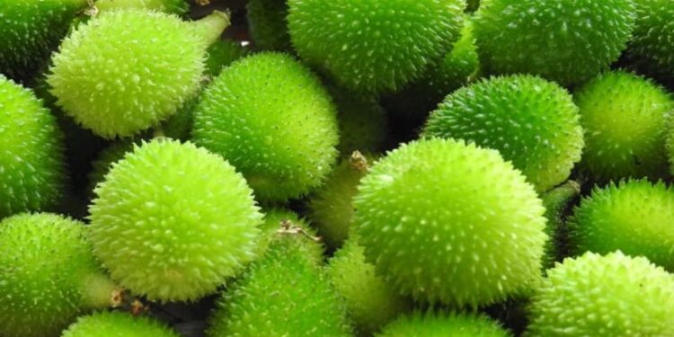 जाणून घ्या कटूले भाजी खाण्याचे फायदे, वाचून चकित व्हाल..