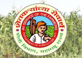 ग्रॅज्युएट्ससाठी मोठी संधी! कृषि विभागामार्फत नागपूर भागात बंपर जागांवर भरती जाहीर