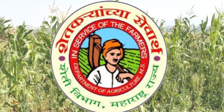 ग्रॅज्युएट्ससाठी मोठी संधी! कृषि विभागामार्फत नागपूर भागात बंपर जागांवर भरती जाहीर